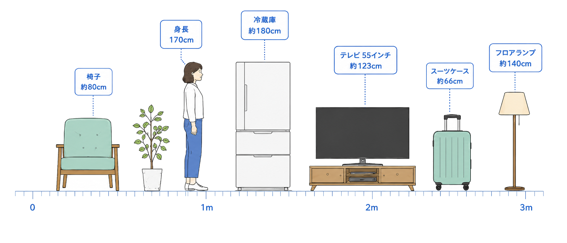 身近なもののサイズ比較図